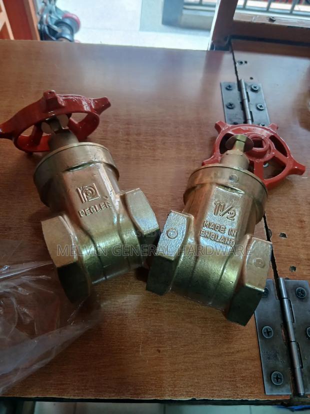 Peglar Gate Valve 11/2" - main view