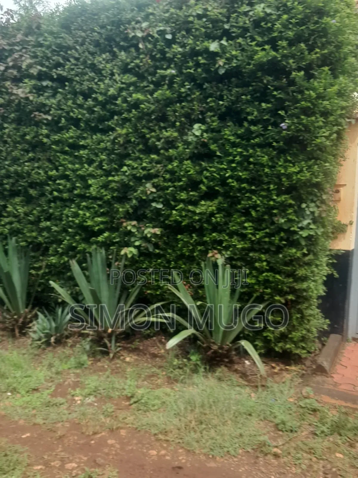 5bdrm Maisonette in Kahawa Sukari for sale