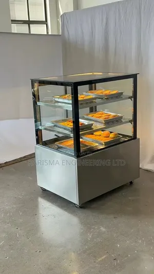 Commercial Refrigerated Display Case Designed