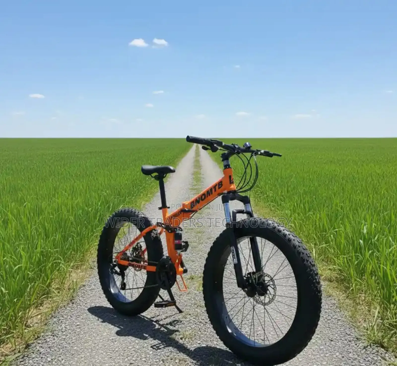 Foldable Fat Bike With Dual Suspension