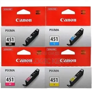 Canon 451 Ink Cartridge