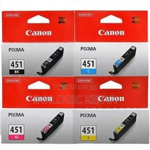 Canon 451 Ink Cartridge
