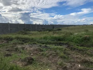 50/100 Plot at Kitengera Acacia