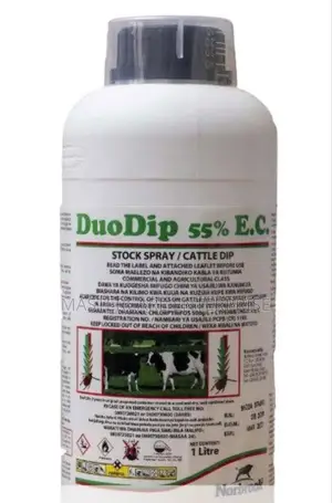 Original Duo Dip 100mls