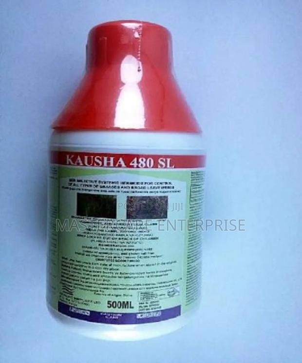 Kausha 500 MLS