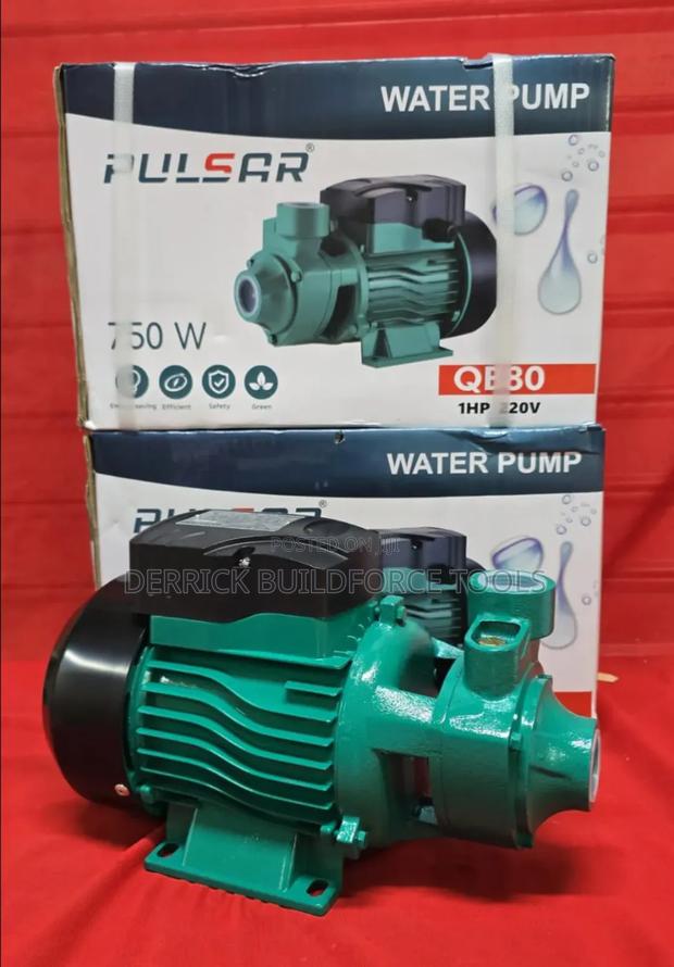 Pulsar 0.5hp Booster Pump