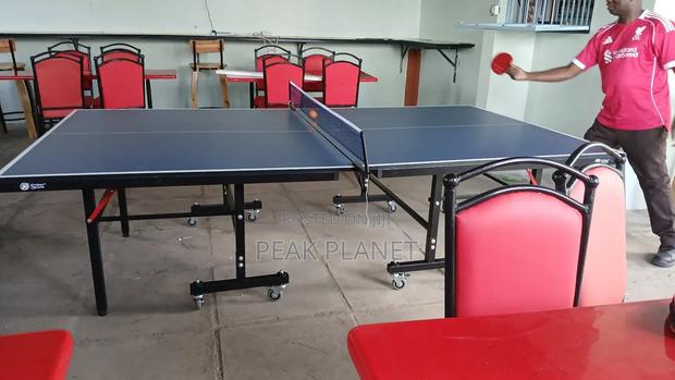 18mm Professional Table Tennis Table