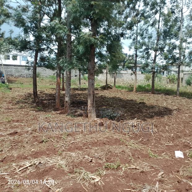 50x100 Residential Plot at Croton Ridge Estate, Ruiru - thumbnail 3