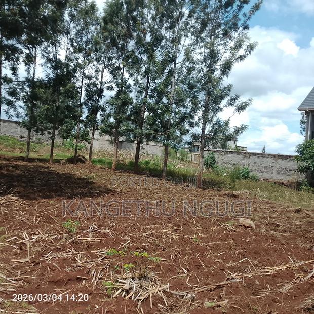 50x100 Residential Plot at Croton Ridge Estate, Ruiru - thumbnail 4