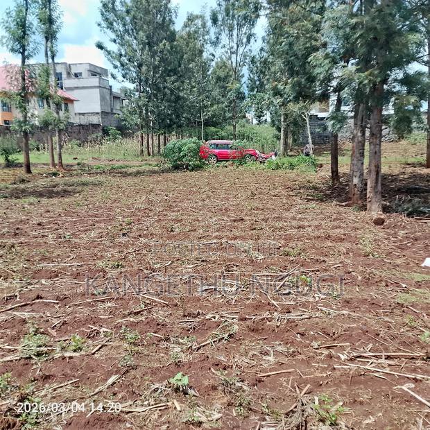 50x100 Residential Plot at Croton Ridge Estate, Ruiru - thumbnail 6