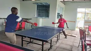 Heavy Duty 18mm Tt Table