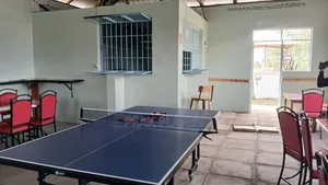 Foldable 18mm Tt Table