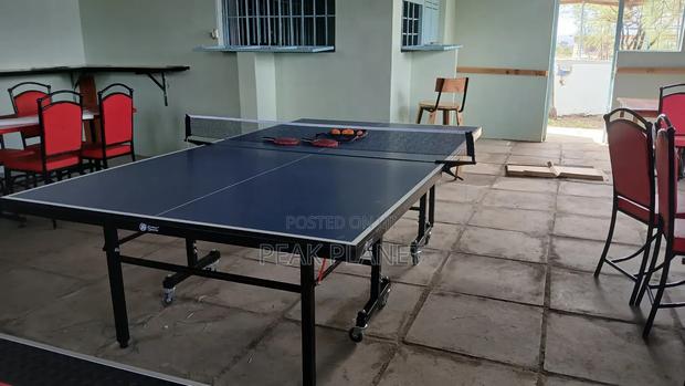Table Tennis Table With Net Bats
