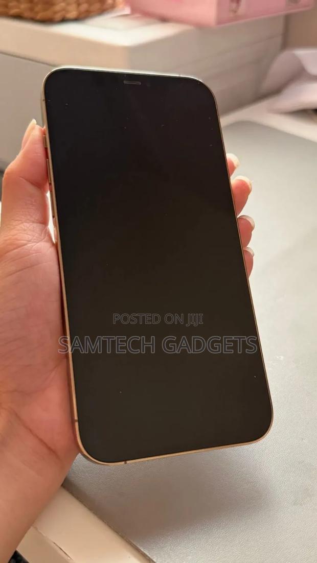 Apple iPhone 12 Pro Max 256 GB Gold - thumbnail 4