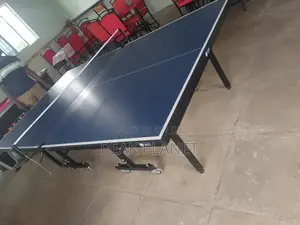 Professional Ping Pong Table Set