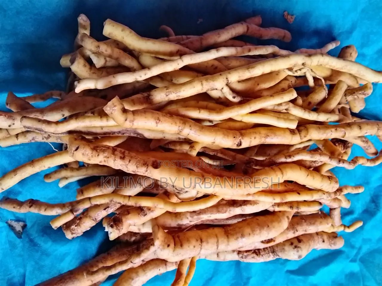 Mukombero Chewing Sticks. Bundle 1
