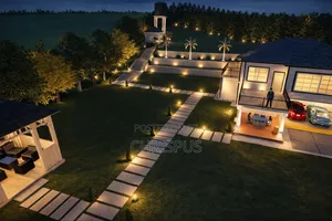 Backyard Light Installation
