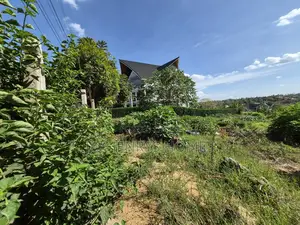 1/4 Acre Plot for Sale in Daykio Bustani Estate