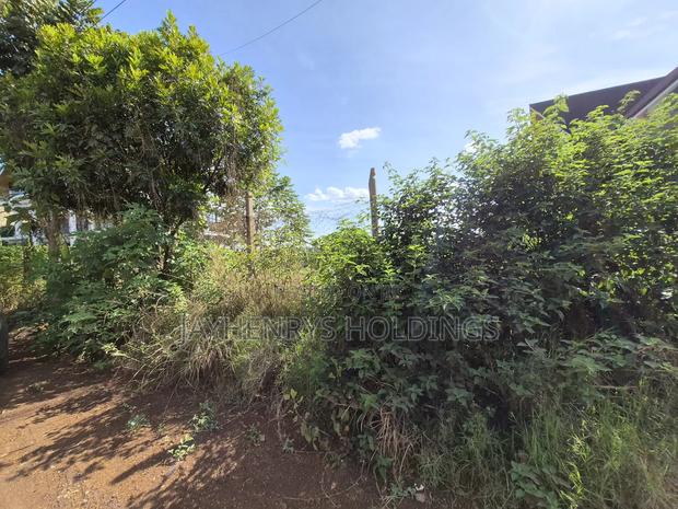 1/4 Acre Plot for Sale in Daykio Bustani Estate - thumbnail 4