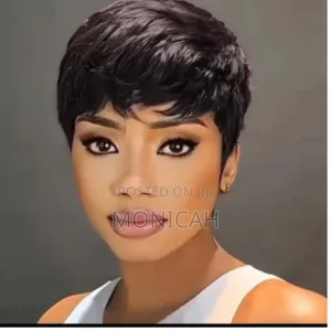 Black Flinch Pixie Wig