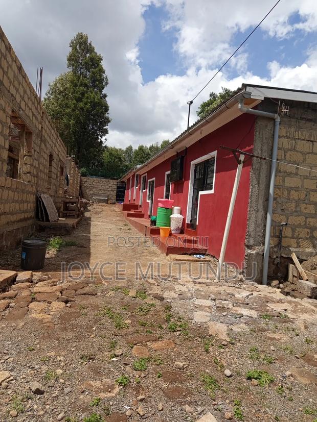 50 X 100 Plot - main view