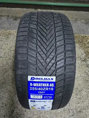 255 /40 R19 Delmax Tyres.