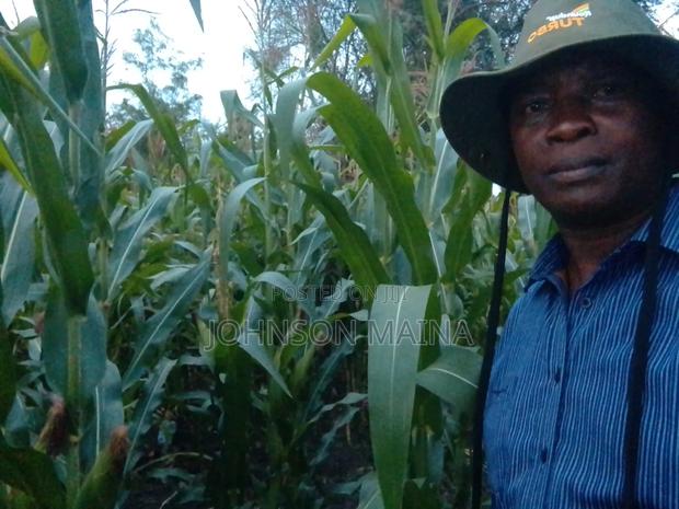 Land For Sale - thumbnail 3