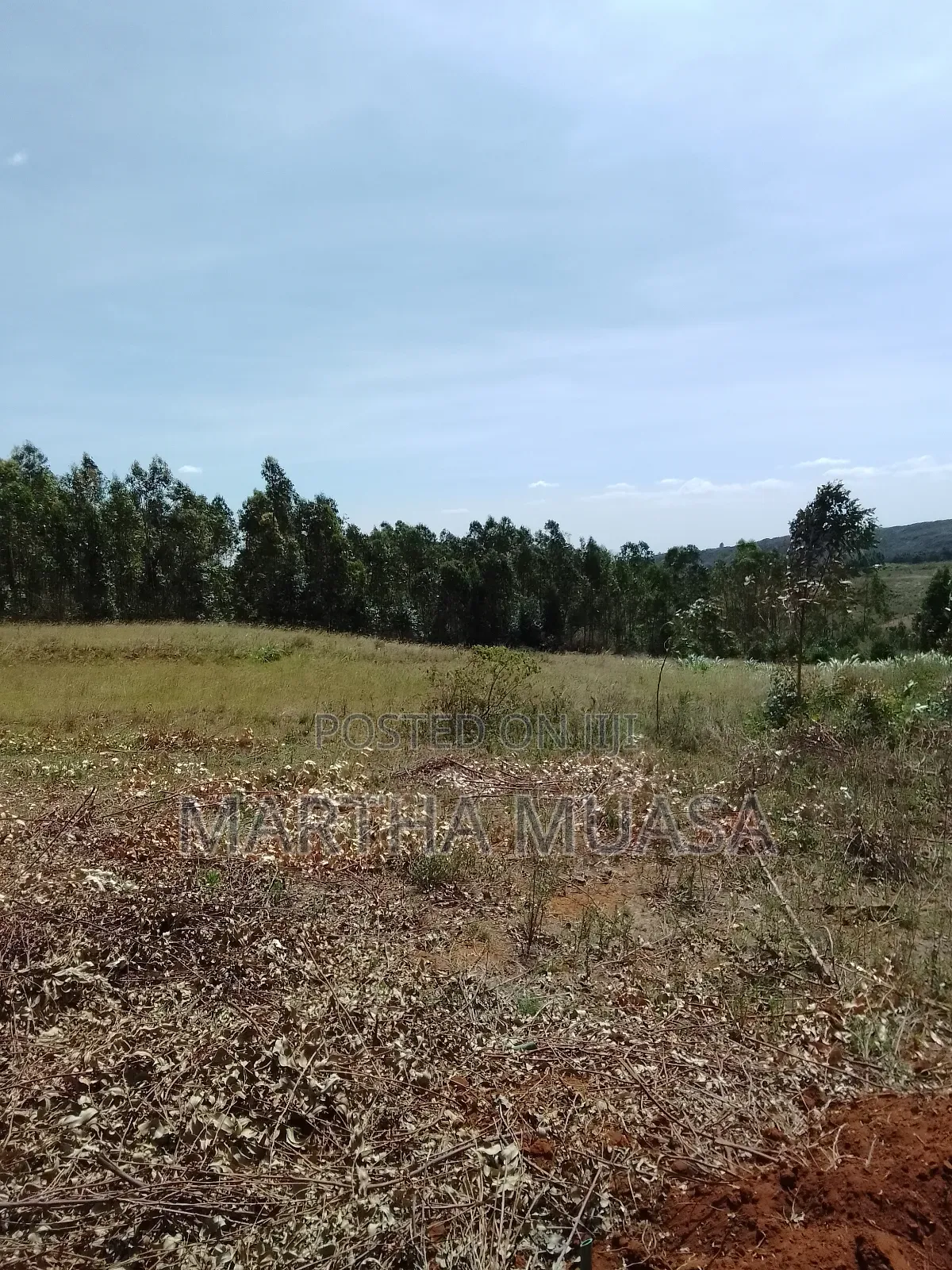 50 by 100 for Sale in Nguirubi Thigio