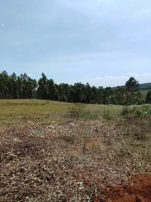50 by 100 for Sale in Nguirubi Thigio