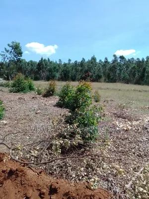 50 by 100 for Sale in Nguirubi Thigio
