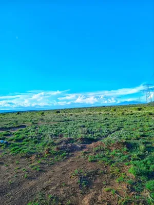 50 by 100 Plot for Sale in Nachu Mikuyuni