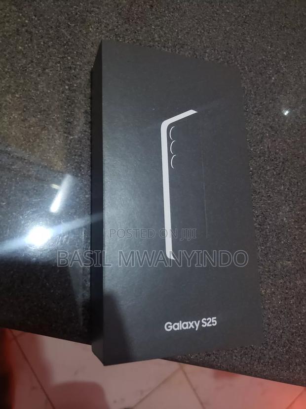Samsung Galaxy S25 256 GB Silver - thumbnail 4