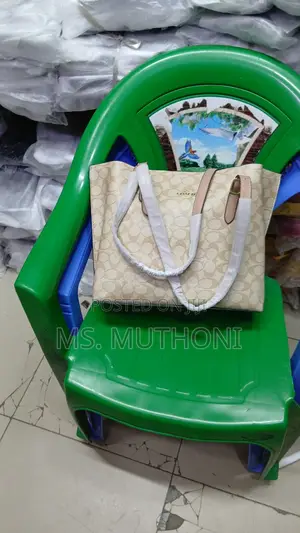 Coach Mollie Tote Bag 34 Dupe