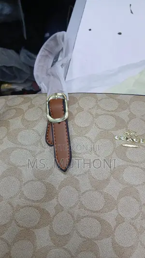 Coach Mollie Tote Bag 34 Dupe