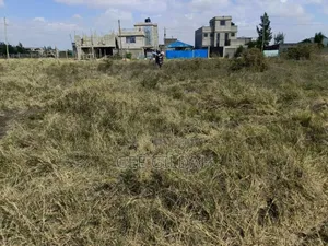Plots for Sale