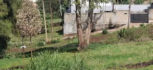 100x100 Available Plot in Kabete Gitaru
