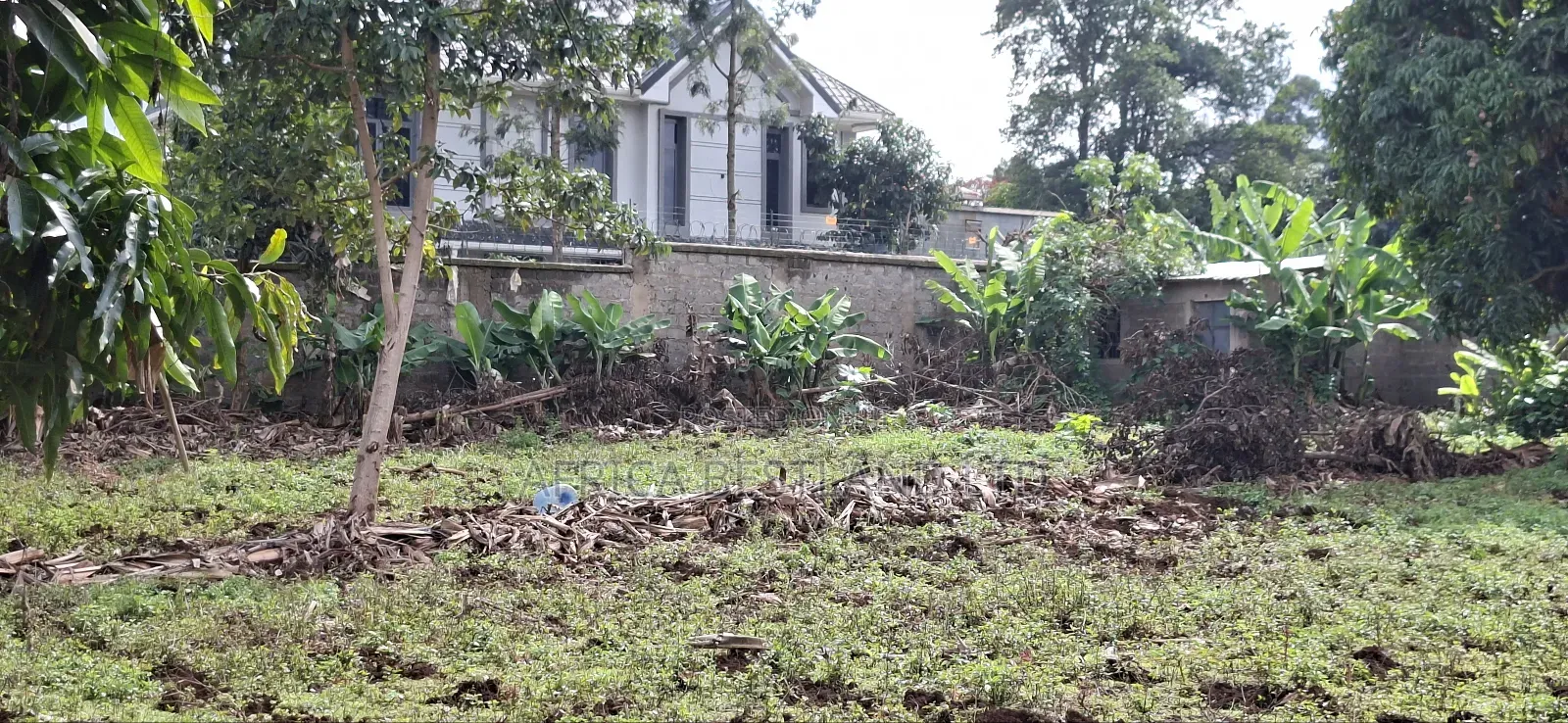 1/2 Acre for Sale Kabete Kanyariri