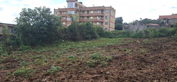 50x100 Plot for Sale Kabete Muthure - thumbnail 3