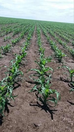 Lumax Herbicides - main view