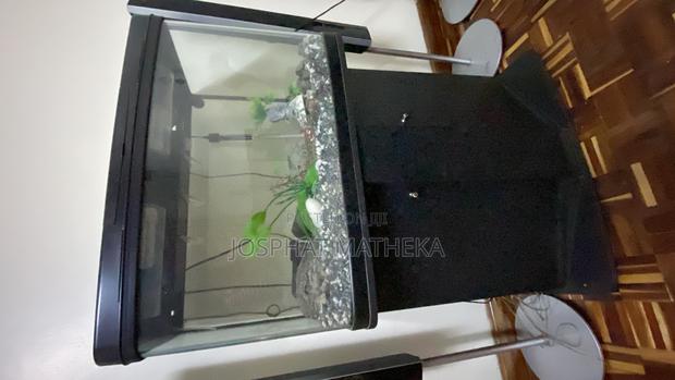 Fish Aquarium - main view