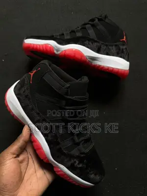 Air Jordan Bred