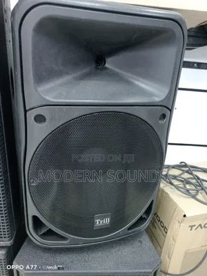 Trill Quality Loudspeakers 12 Inches
