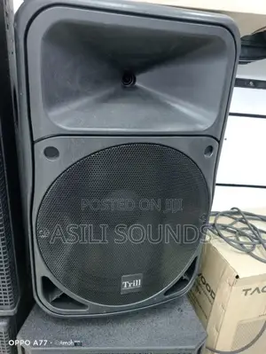 Trill Quality Loudspeakers 12 Inches