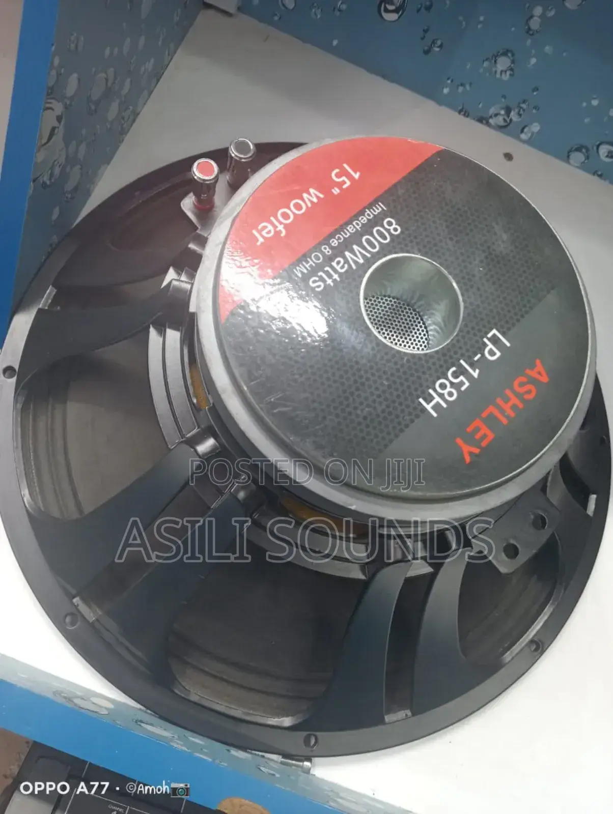 Ashley Lp-158h Naked Speaker.