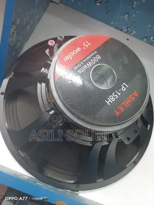 Ashley Lp-158h Naked Speaker.