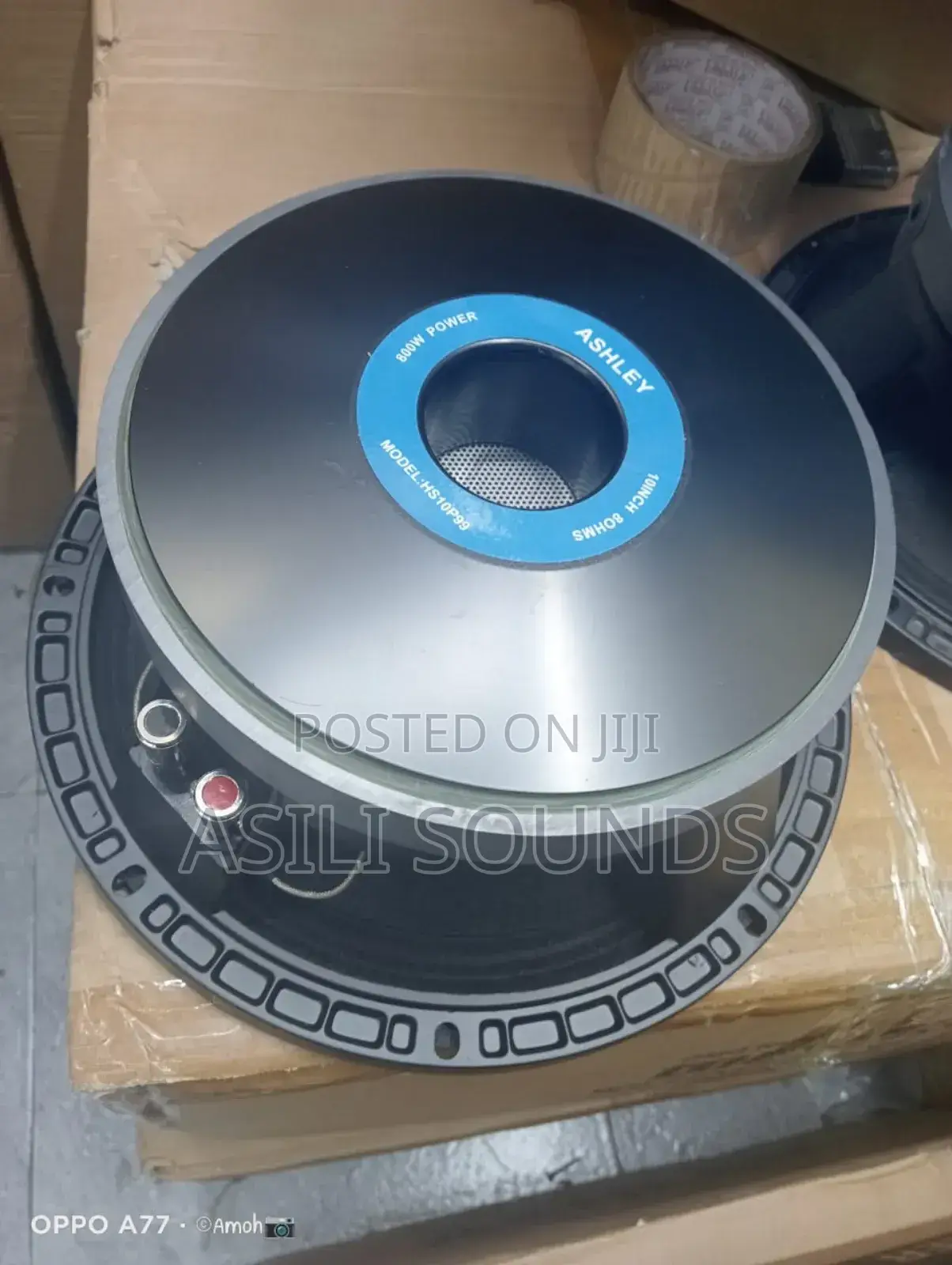 Ashley Hs10p99 10-Inch Naked Speaker Driver.