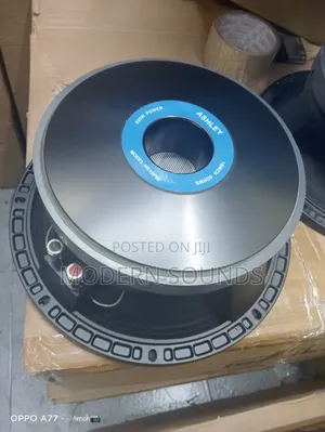 Ashley Hs10p99 10-Inch Naked Speaker Driver.