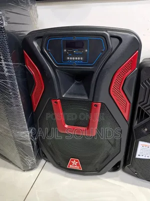 Borl Professional Active Pa Speaker