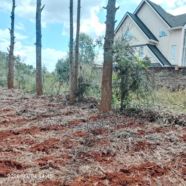 Two 50x100 Plots at Croton Ridge Estate