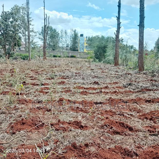 Two 50x100 Plots at Croton Ridge Estate - thumbnail 2